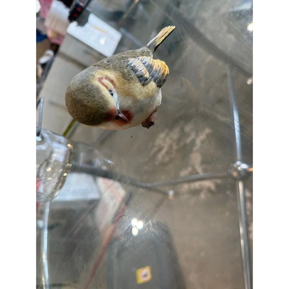 Bird decor